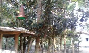 Imagem 6: Belissimo Sitio Em São João Batista