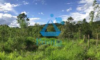 Imagem 3: Sítio à venda, 3 quartos, 1 suíte, 3 vagas, Mato Grosso - Catas Altas/MG