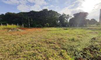 Imagem 7: Americana - Terreno Padrão - Parque Nova Carioba