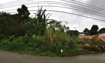 Imagem 5: TERRENO COM 644M² EM COROA GRANDE