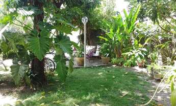 Imagem 6: SITIO PEQUENO EM JÁUA