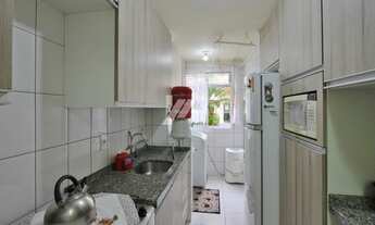 Imagem 7: SãO JOSé DOS PINHAIS - Padrão - Braga