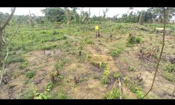 Imagem 3: Ótimo Terreno 50 X 50 km 70, 10 km de Manacapuru documentado