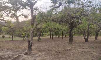 Imagem 4: MV20 Vendo 500m em Mogi