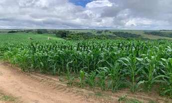 Imagem 3: Fazenda com 129 alqueires em Bofete - SP (Nogueira Imóveis Rurais