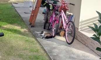 Imagem 7: Casa com 2 dormitórios à venda, 56 m² por R$ 280.000 - Ubatiba - Maricá/RJ