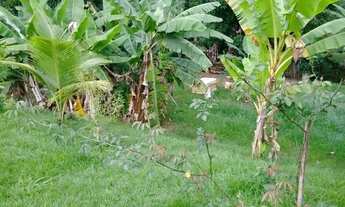 Imagem 7: CHÁCARA Casa com 3 dormitórios