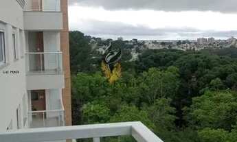 Imagem: Curitiba - Apartamento - Bacacheri