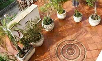 Imagem 4: Aluguel de cobertura duplex no bairro do Taumaturgo