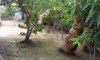 Imagem 3: Vendo sítio no ramal do rio branquinho