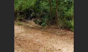 Imagem: Disponível pra Venda Excelente lote na