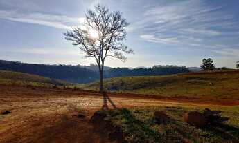 Imagem: Lote/Terreno para venda tem 1000 metros