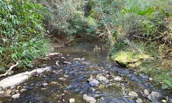 Imagem 4: Sitio 35.000m² com casa, espaço gourmet, agua correntes nos fundos, poço de peixes