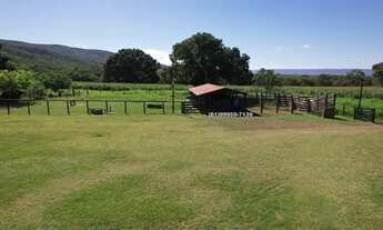 Imagem 4: Vende-se Fazenda em Buritis MG, 180km de Brasília - Um Paraíso de 159 Hectares