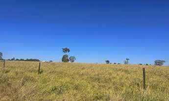 Imagem 2: Fazenda com 656 alq formado + 190 alq. APP em são Miguel do Araguaia Go. 120milhões