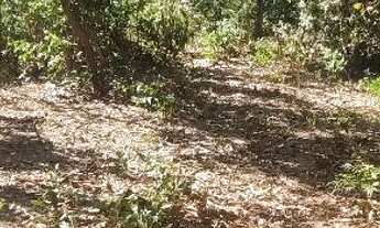 Imagem 3: Terreno Terreno / lote com venda por R$45.000