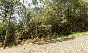 Imagem 2: TERRENO EM GRAMADO