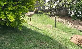 Imagem 7: Vendo Sítio em cond. Fechado ou troco por casa ou apto