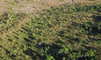 Imagem 6: Vendo essa Chácara na manchete