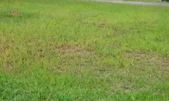 Imagem 4: TERRENO EM CONDOMÍNIO - CONDOMÍNIO TERRAS DE SANTA CRUZ - SP