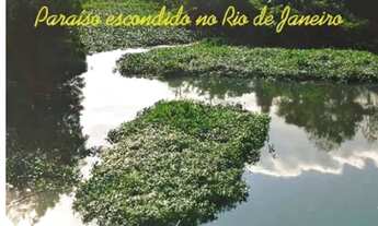 Imagem 2: Terreno em vargem grande