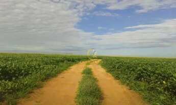 Imagem 6: Fazenda 15.000 hectares a venda em Itiquira em Mato Grosso!