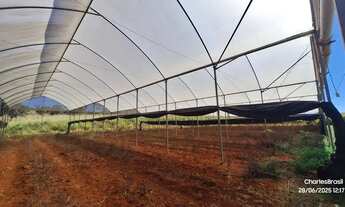 Imagem 5: Área Rural em Alexânia com 3,75 Alqueires, com 02 represas, Galpão, Casa, Curral, Coxo par