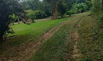 Imagem 7: Chácara a venda em Tijucas do Sul -PR