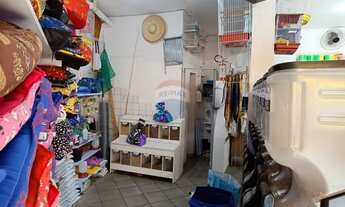 Imagem 4: Imóvel Comercial em Bragança: Ótimo Retorno Já!