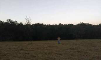 Imagem 7: Lote em Estrada Municipal - São Benedito - São Pedro/SP