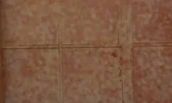 Imagem 2: Terreno 600² 12x50