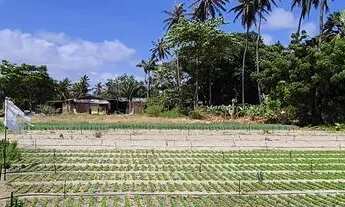 Imagem 5: Terreno na Lagoa Redonda com 11.600m² as margens da Lagoa da Precabura
