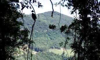 Imagem 2: Sítio / Chácara para Venda em Nova Petrópolis, Linha Olinda