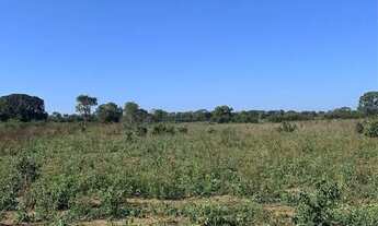 Imagem 2: Vendo fazenda 1,900 hc beira rio São Francisco
