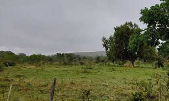 Imagem 3: Lindo terreno 22 hectares