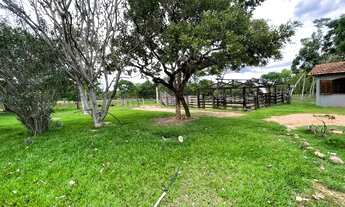 Imagem: Fazenda em Várzea da Palma