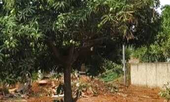 Imagem 2: Vende-se terreno Virgínia park escriturado