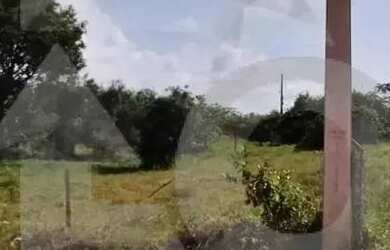 Imagem 5: Terreno na Zona de expansão, no bairro Mosqueiro