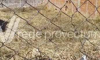 Imagem 4: Terreno - Vila Nogueira - Campinas
