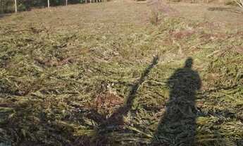 Imagem: Vende-se um terreno no tepequem