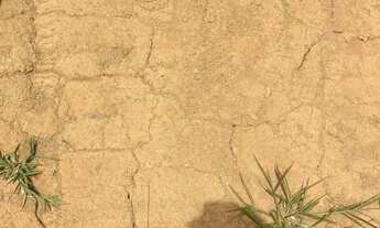 Imagem: Terreno barato, doc ok e natureza ao redor