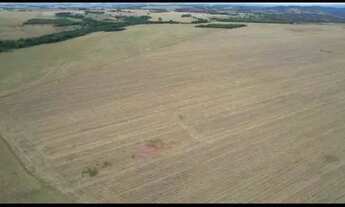 Imagem 4: Imóvel para venda com 600 metros quadrados em Area Rural de Piracanjuba - Piracanjuba - GO