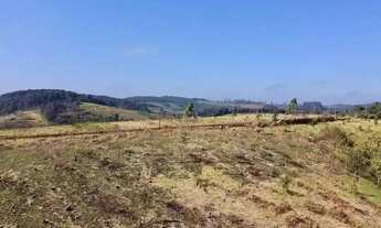 Imagem 7: Oportunidade de Investimento em Condomínio no Bairro Colégio 500m²