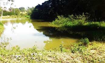 Imagem 6: Chácara para eventos