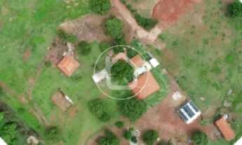 Imagem: FAZENDA NOSSA SENHORA DO LIVRAENTO