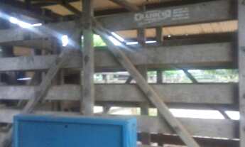 Imagem 7: 410 alqueires Fazenda em Tailandia por 100 mil o alqueire toda pronta e documentada