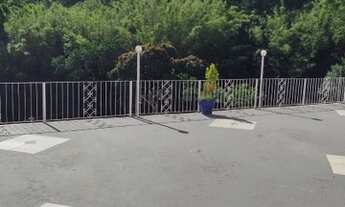 Imagem 6: Sítio maravilhoso em P A/RS, com 15.000mq por 1.500.000,00