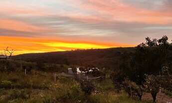 Imagem 6: Aluguel Chácara Aguas Lindas - 55 km do Plano - Condominio com acesso restrito