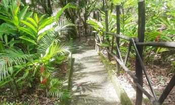 Imagem 3: Casa Na Ilha Oferta Imperdível. !!!!