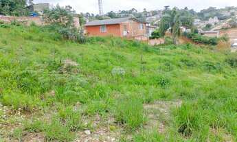 Imagem: Terreno em declive, na Colônia Antônio